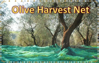 Agricultural Harvest Netting Olive Netting Olive Harvest Netting